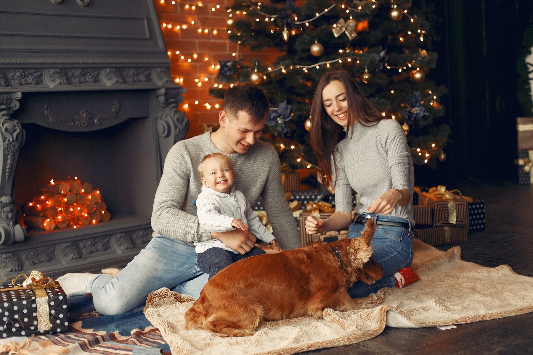El Árbol de Navidad Perfecto para Tu Mascota: Guía para Elegir el mejor para tu hogar